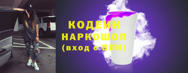 дурь Алексин