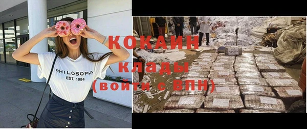 дурь Алексин