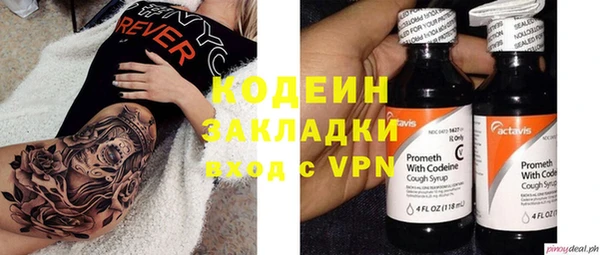 дурь Алексин