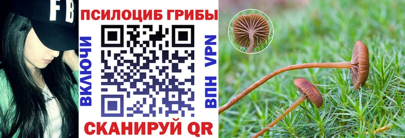 Галлюциногенные грибы Magic Shrooms наркота Мыски